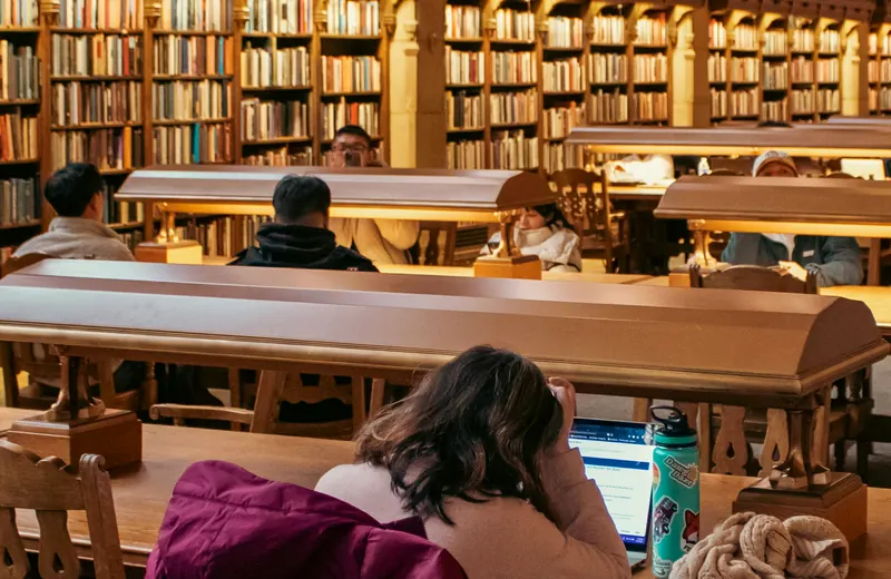 University student studying in a campus library
